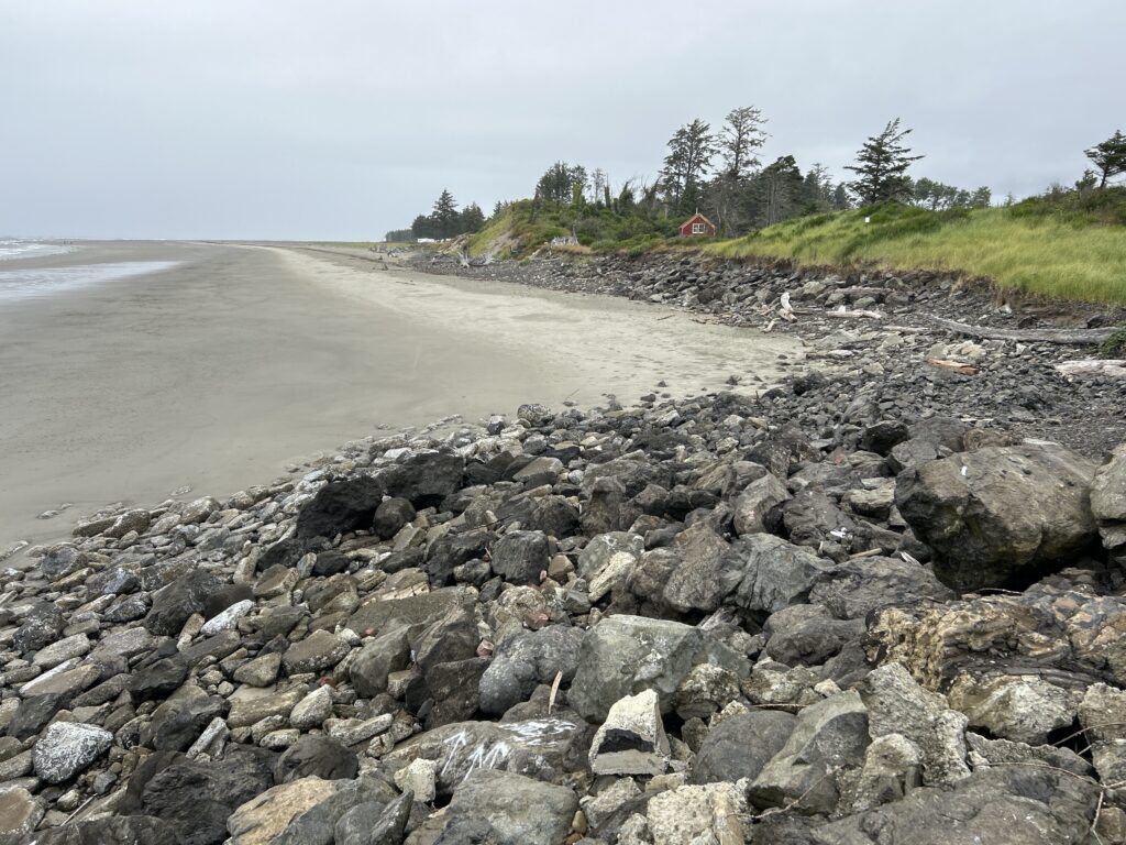 a rocky beach with trees and water (MyCoast AI)
