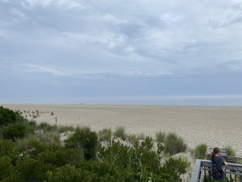 a man sitting on a bench overlooking a beach (MyCoast AI)