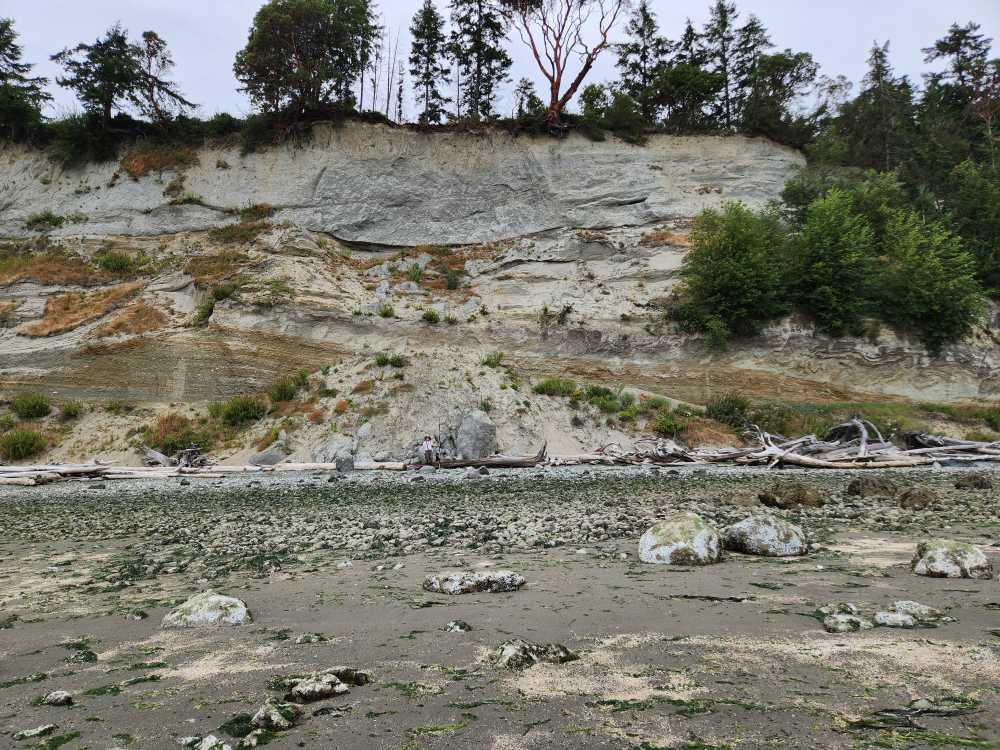 a rocky area with trees in the background (MyCoast AI)