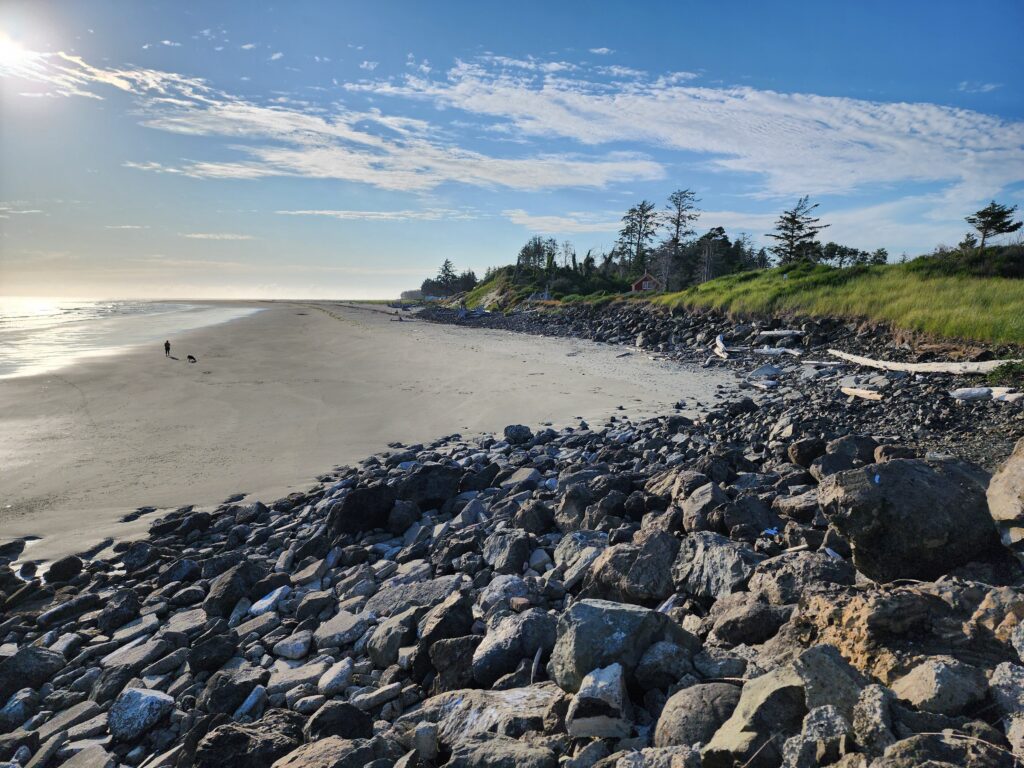 a rocky beach with trees and grass (MyCoast AI)