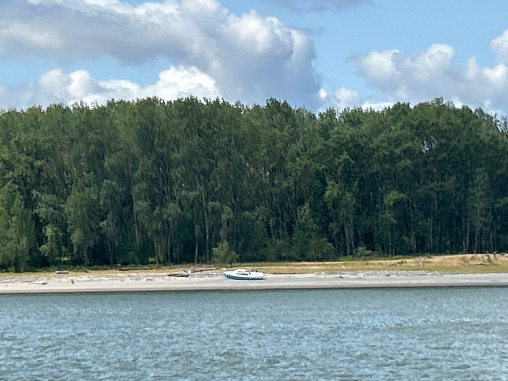 a boat on the water (MyCoast AI)