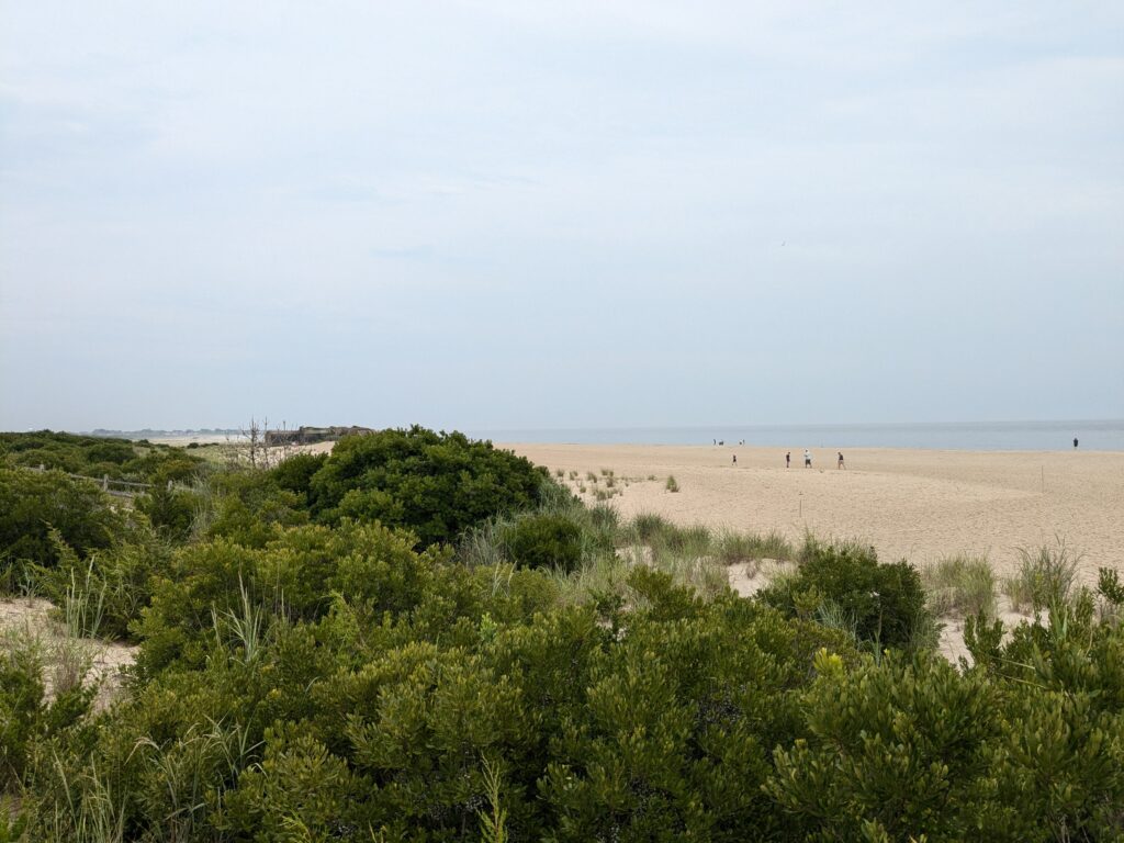 a sandy beach with trees (MyCoast AI)