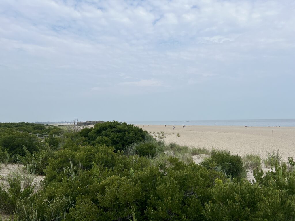 a beach with bushes and trees (MyCoast AI)