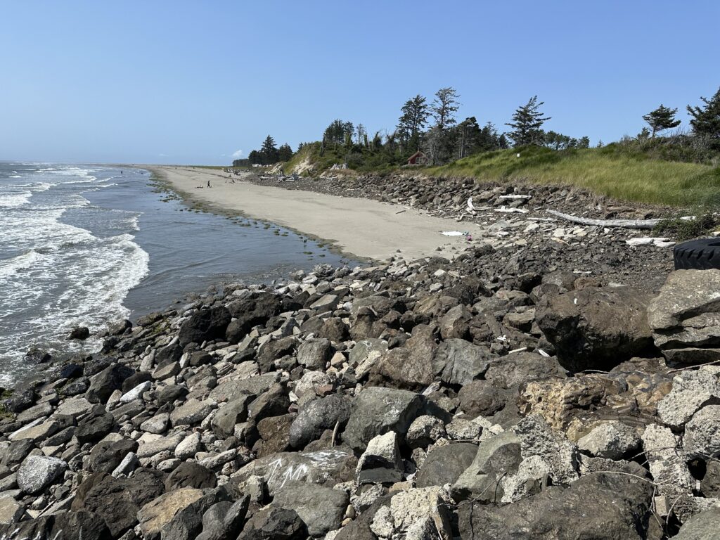 a rocky beach with a body of water and trees (MyCoast AI)