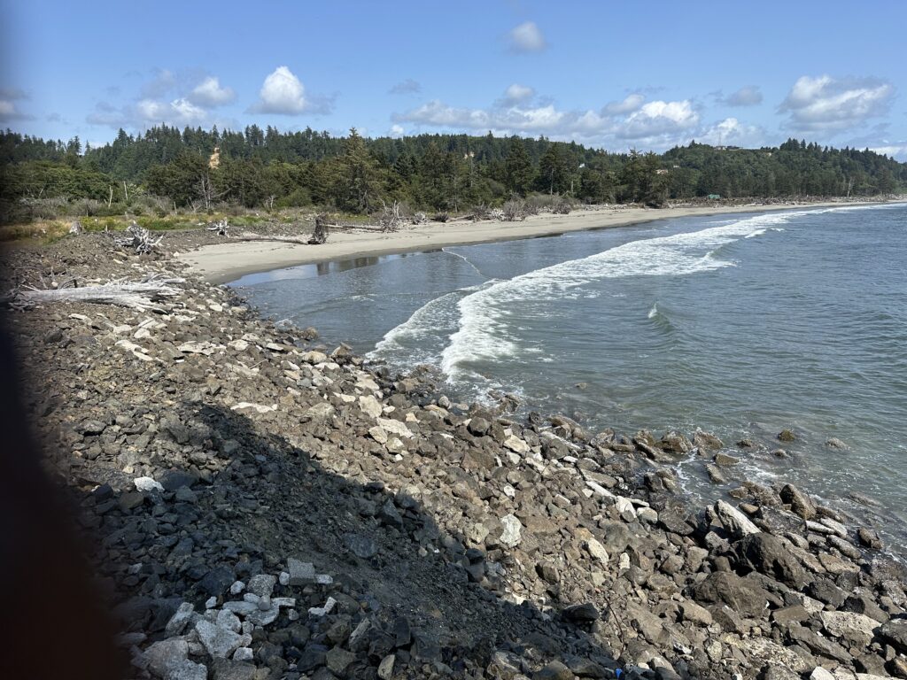 a rocky beach with a body of water and trees in the background (MyCoast AI)