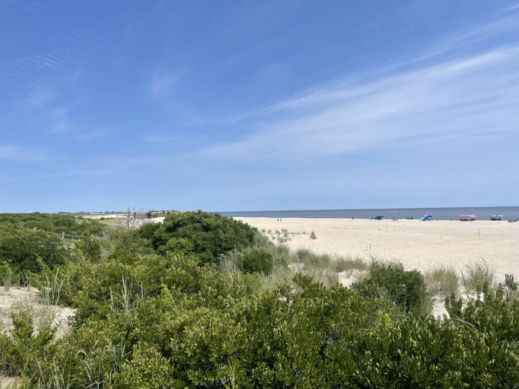 a sandy beach with bushes and trees (MyCoast AI)