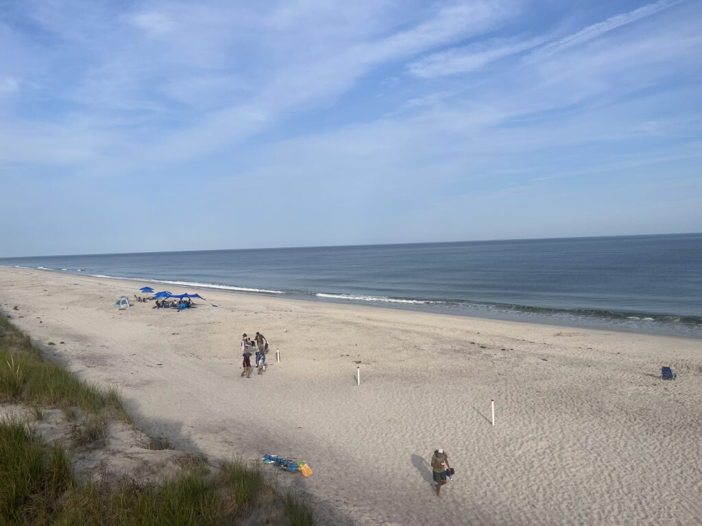 people walking on a beach (MyCoast AI)