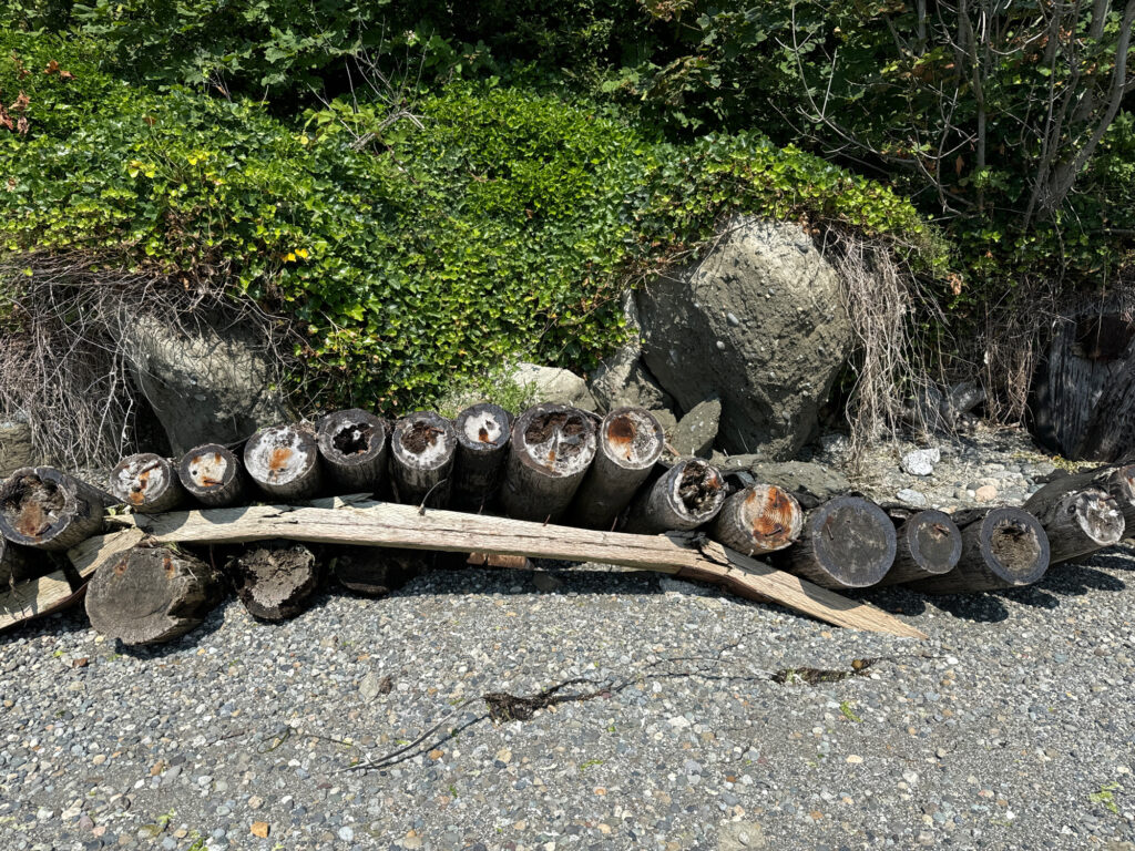 a group of old tires (MyCoast AI)