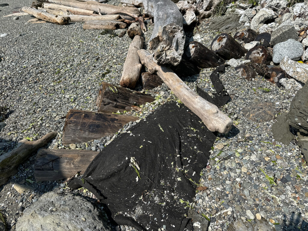 a pile of wood and rocks (MyCoast AI)