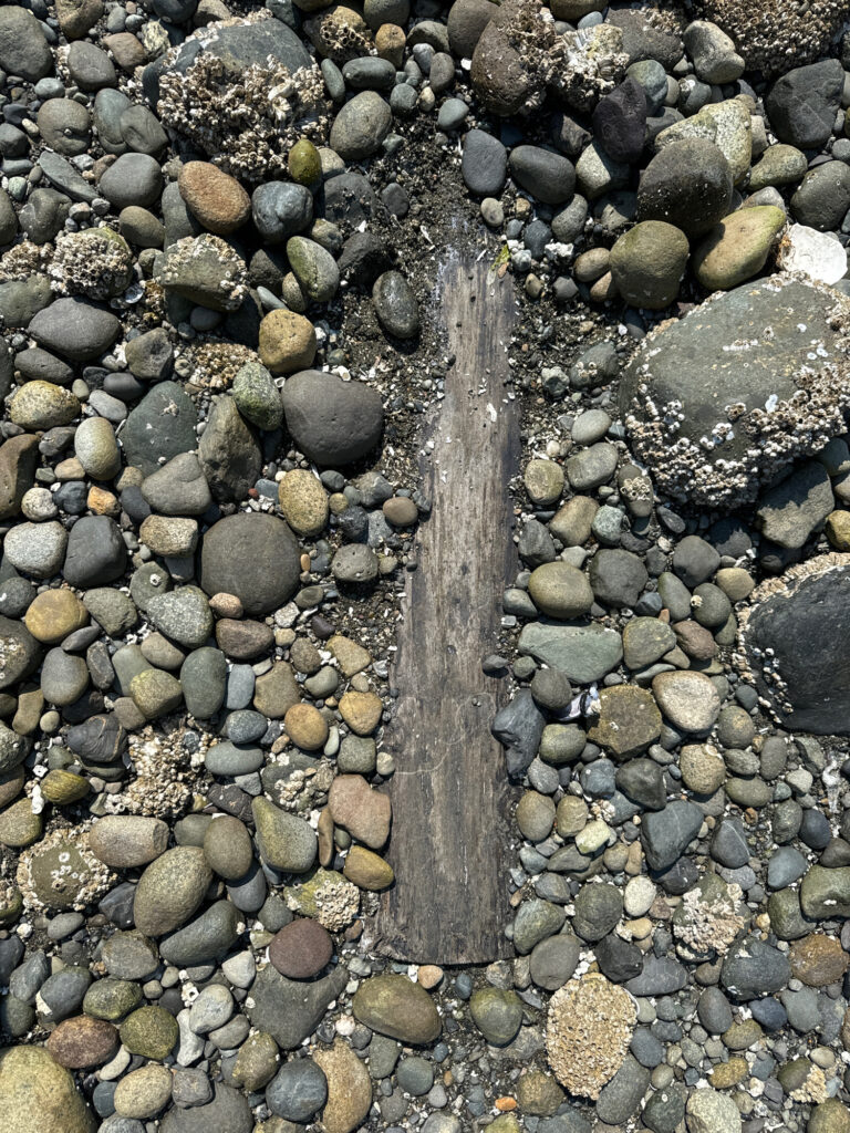 a wooden post on a rocky surface (MyCoast AI)