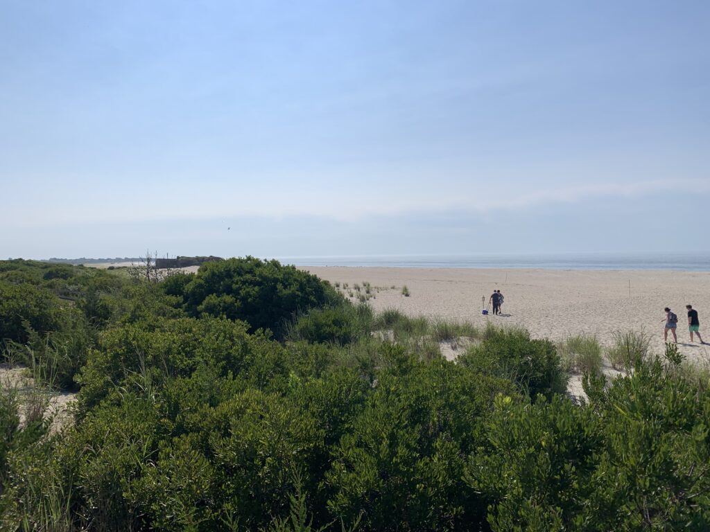 people walking on a beach (MyCoast AI)