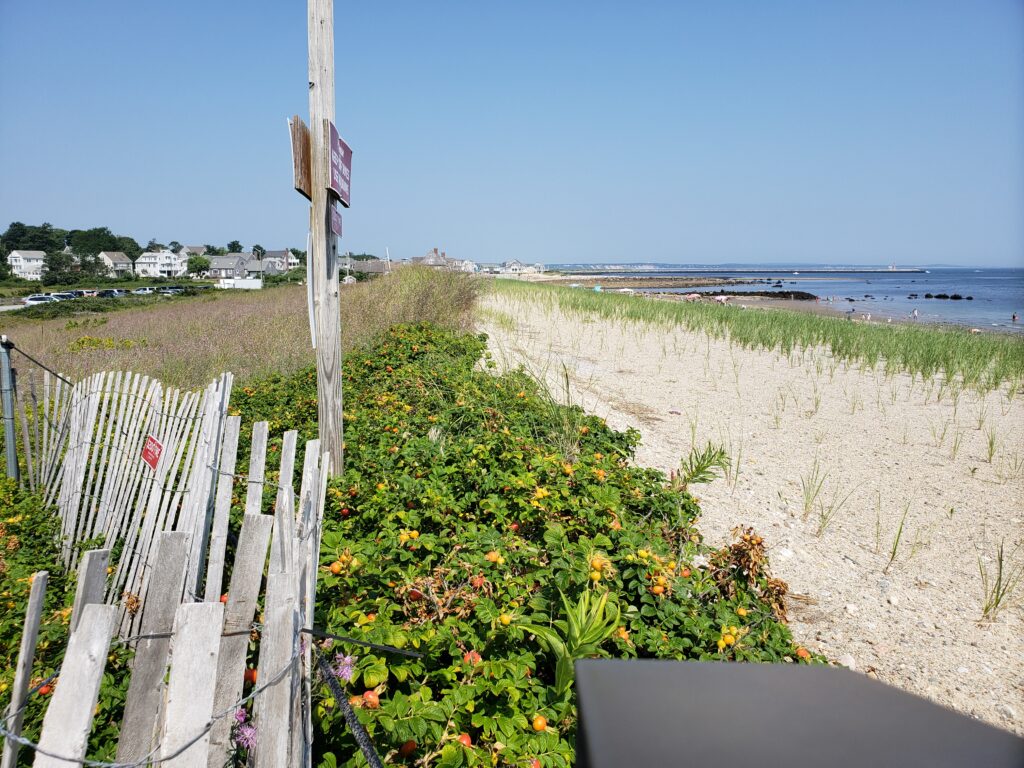 a fence on a beach (MyCoast AI)