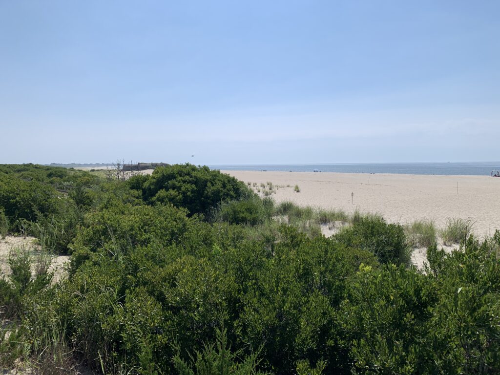 a landscape with trees and bushes (MyCoast AI)