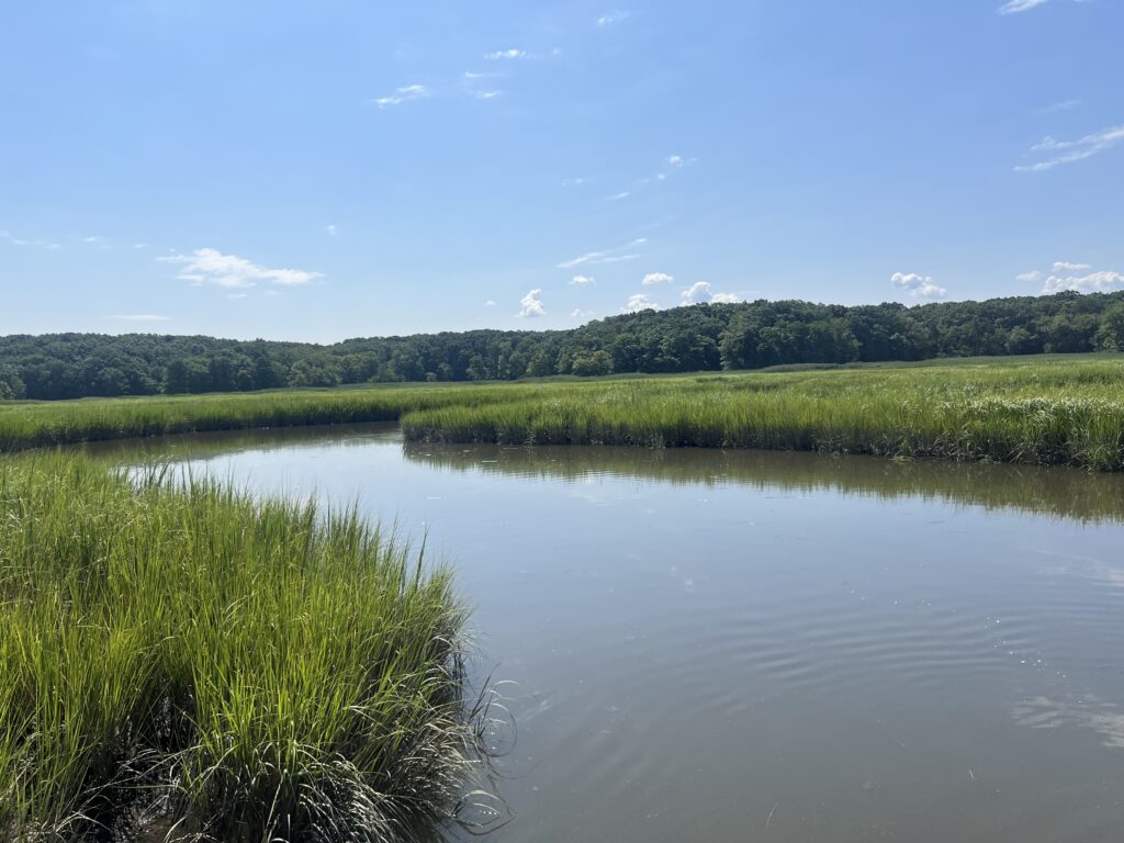 a body of water with grass and trees around it (MyCoast AI)