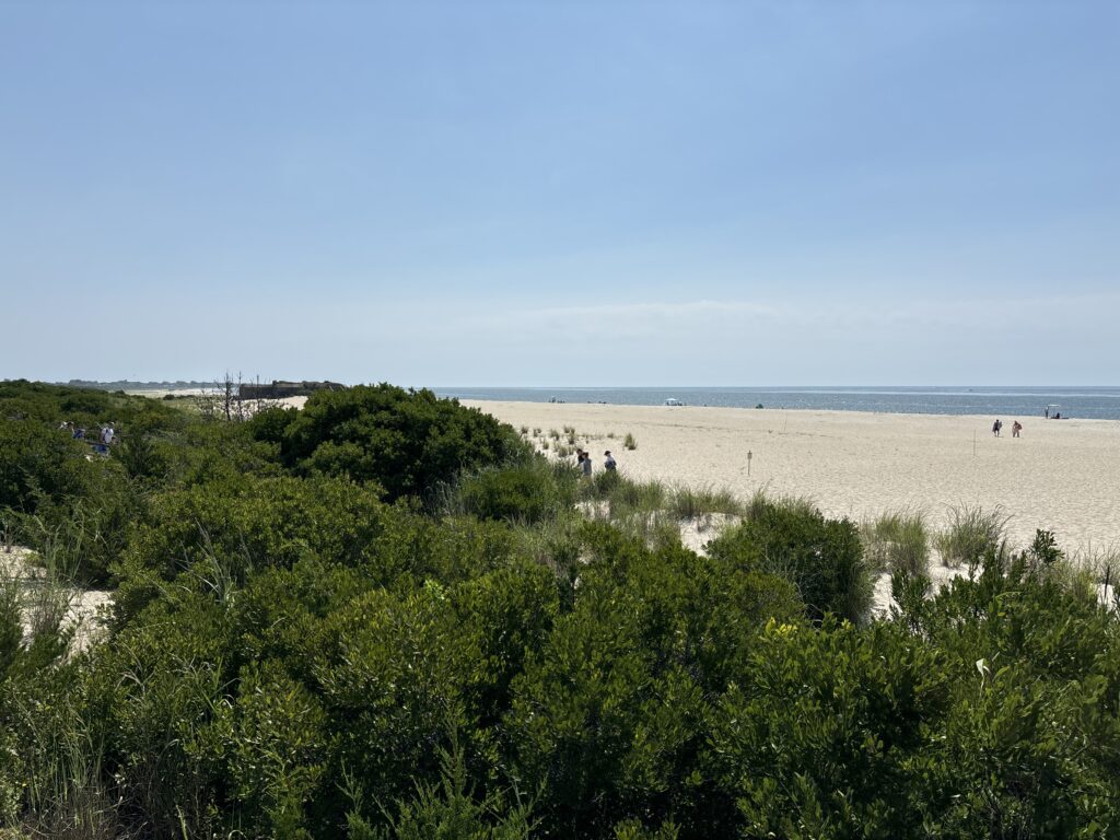 a group of people walking on a beach (MyCoast AI)