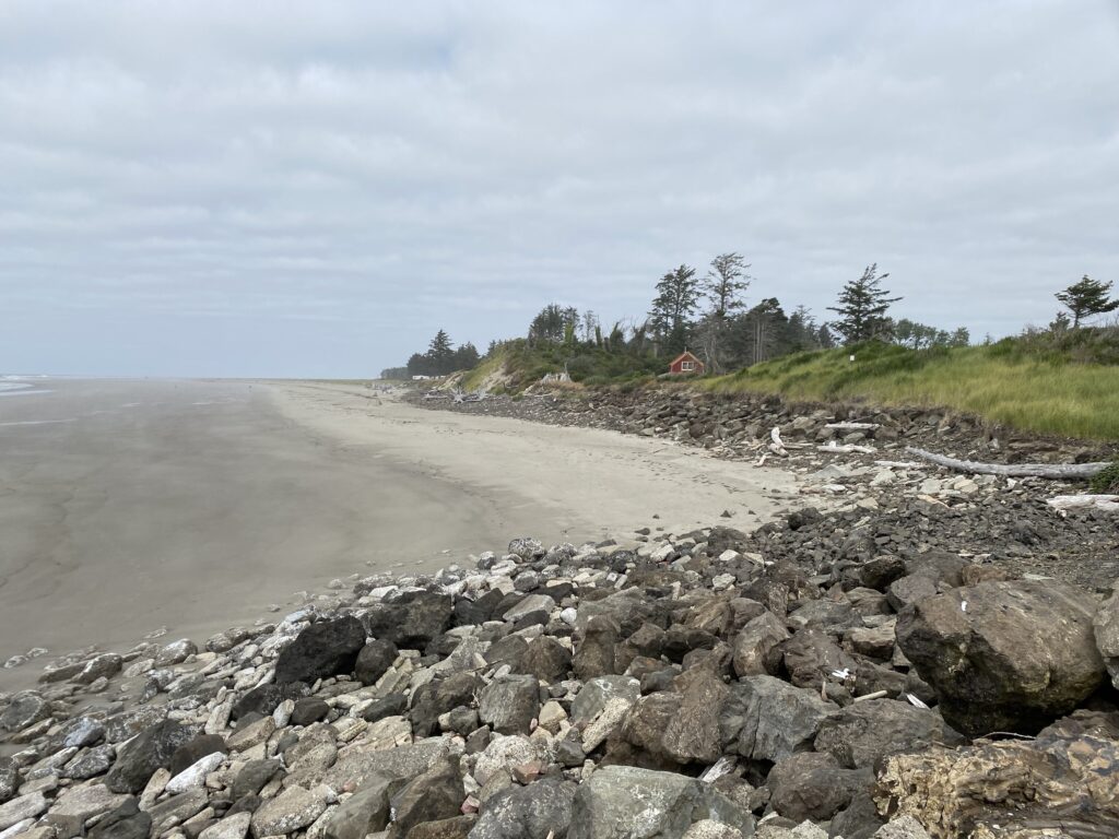 a rocky beach with a hill and trees in the background (MyCoast AI)