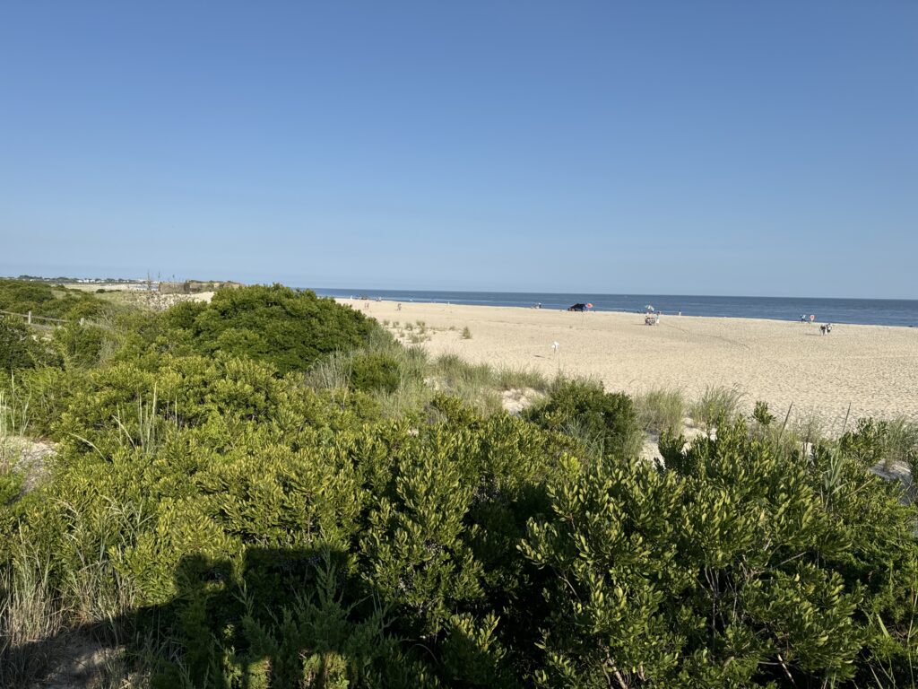 a beach with bushes and trees (MyCoast AI)