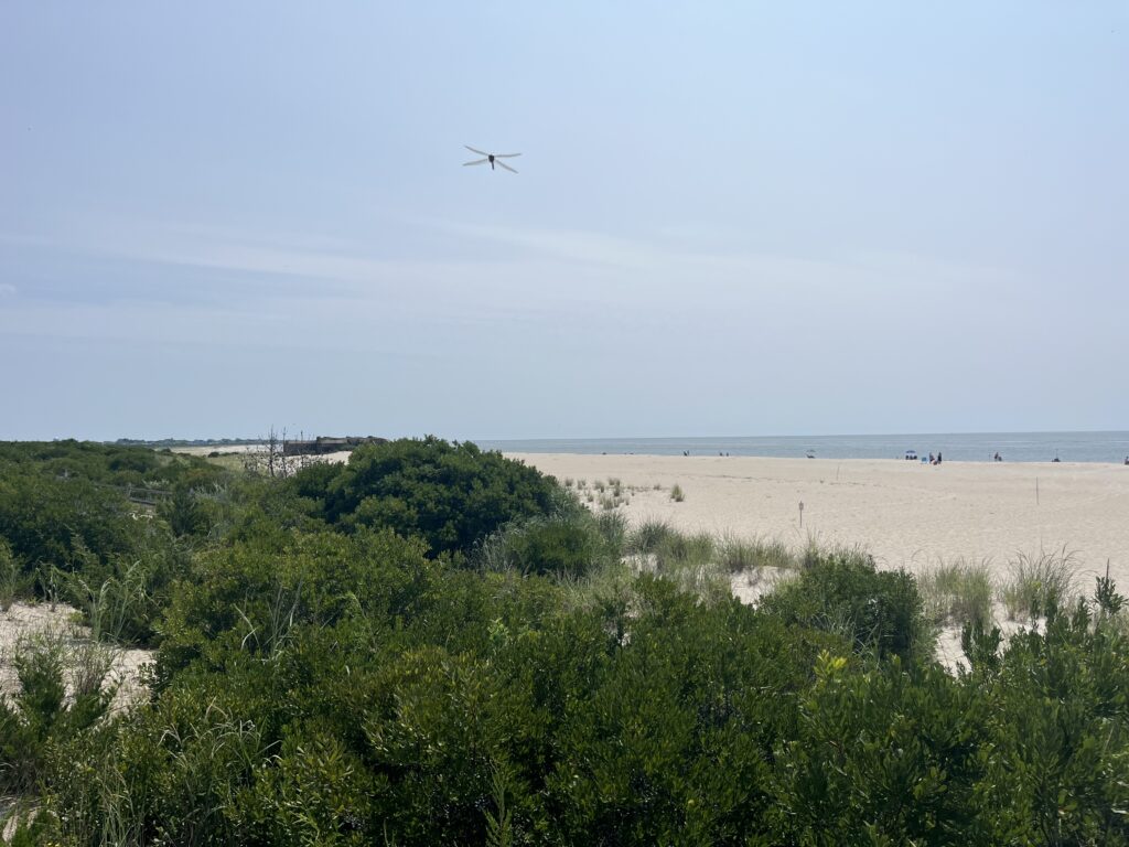 a plane flying over a beach (MyCoast AI)