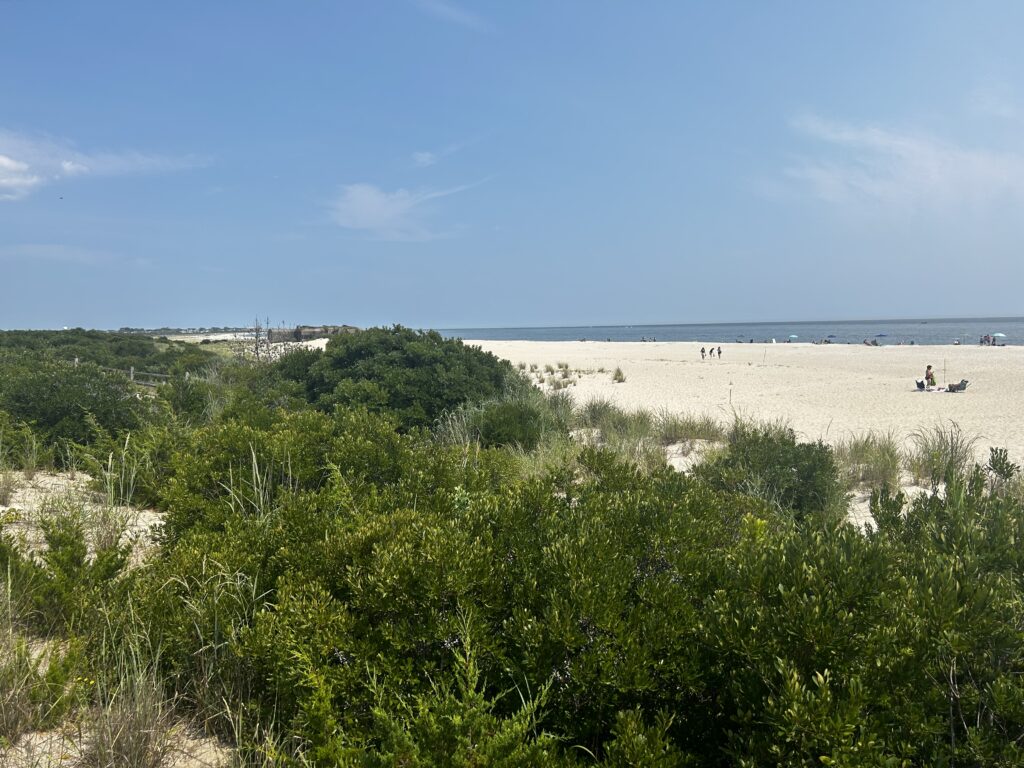 a beach with bushes and trees (MyCoast AI)