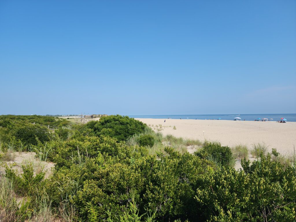 a sandy beach with bushes and trees (MyCoast AI)
