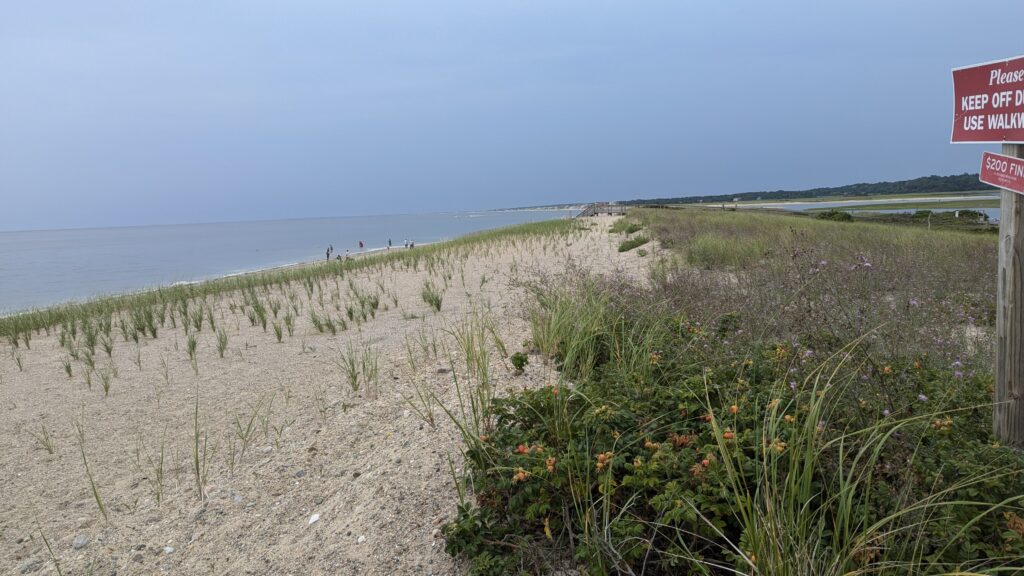 a sandy beach with plants and a sign (MyCoast AI)