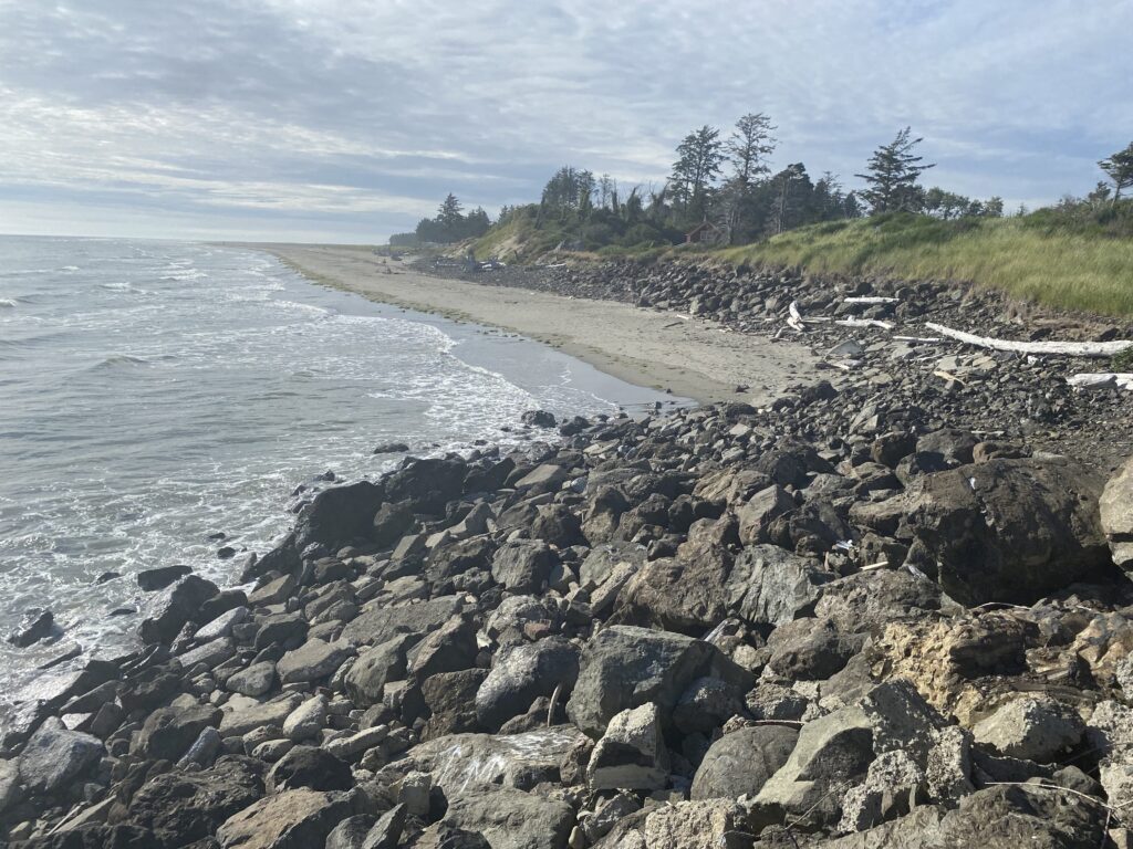 a rocky beach with trees and a body of water (MyCoast AI)