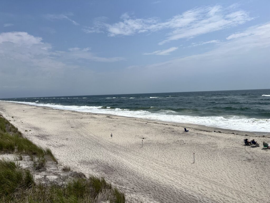 a beach with people on it (MyCoast AI)