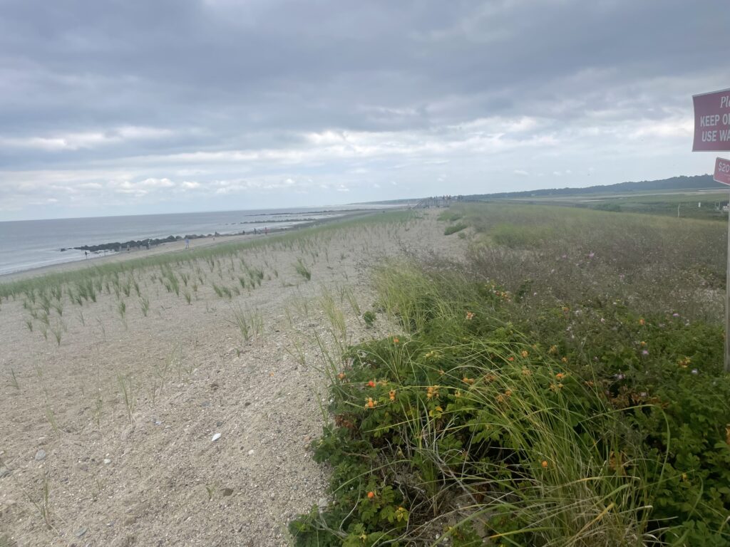 a dirt road next to a beach (MyCoast AI)