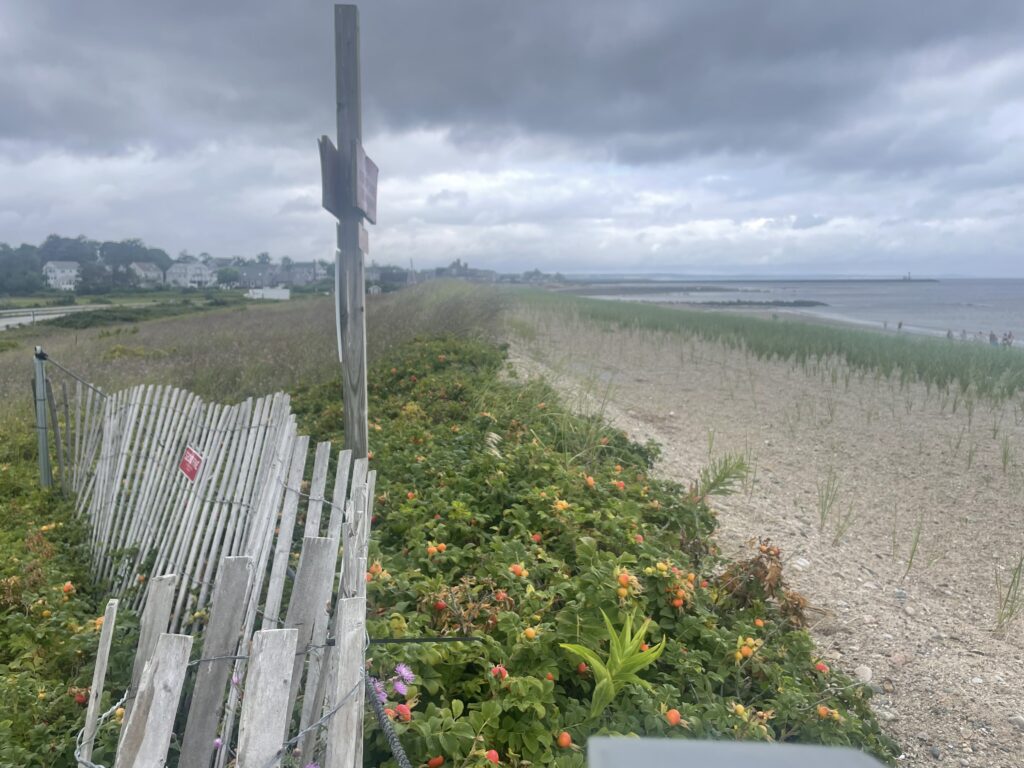 a bench sits unoccupied (MyCoast AI)
