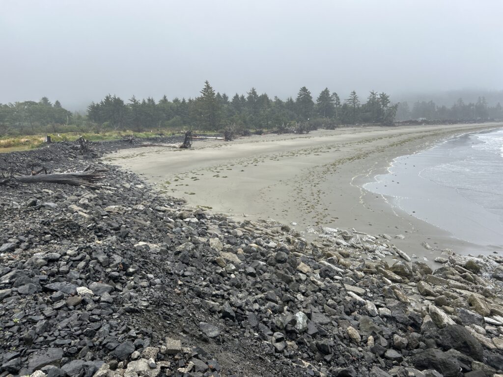 a rocky beach with a body of water and trees in the background (MyCoast AI)