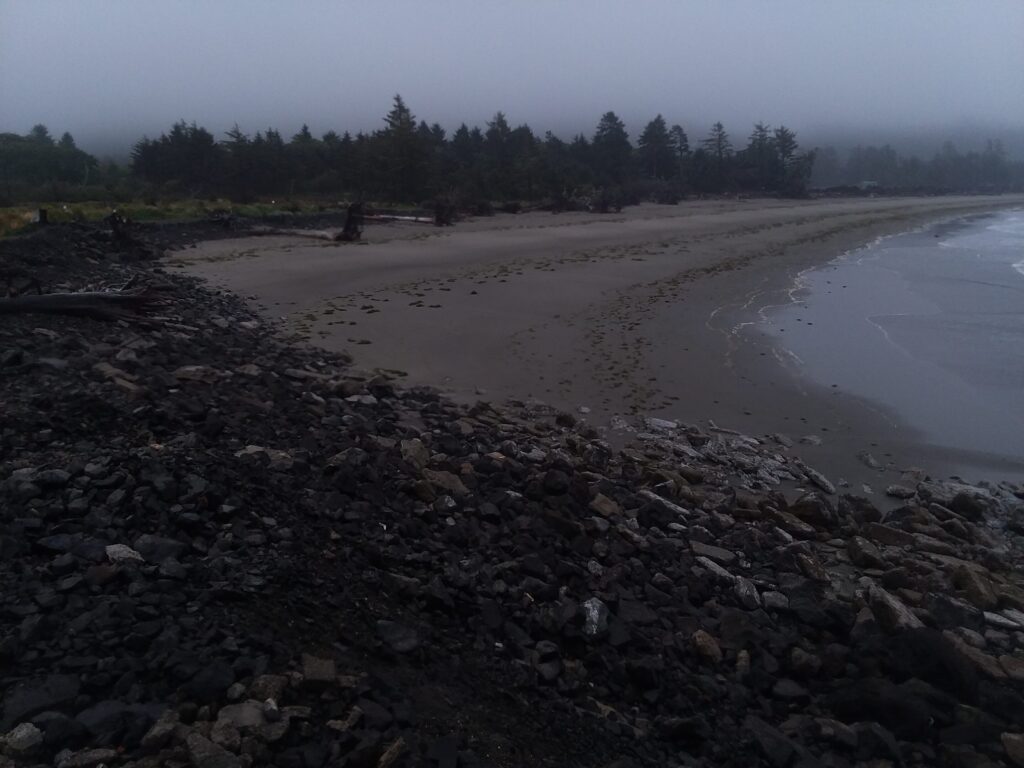 a rocky beach with trees in the background (MyCoast AI)