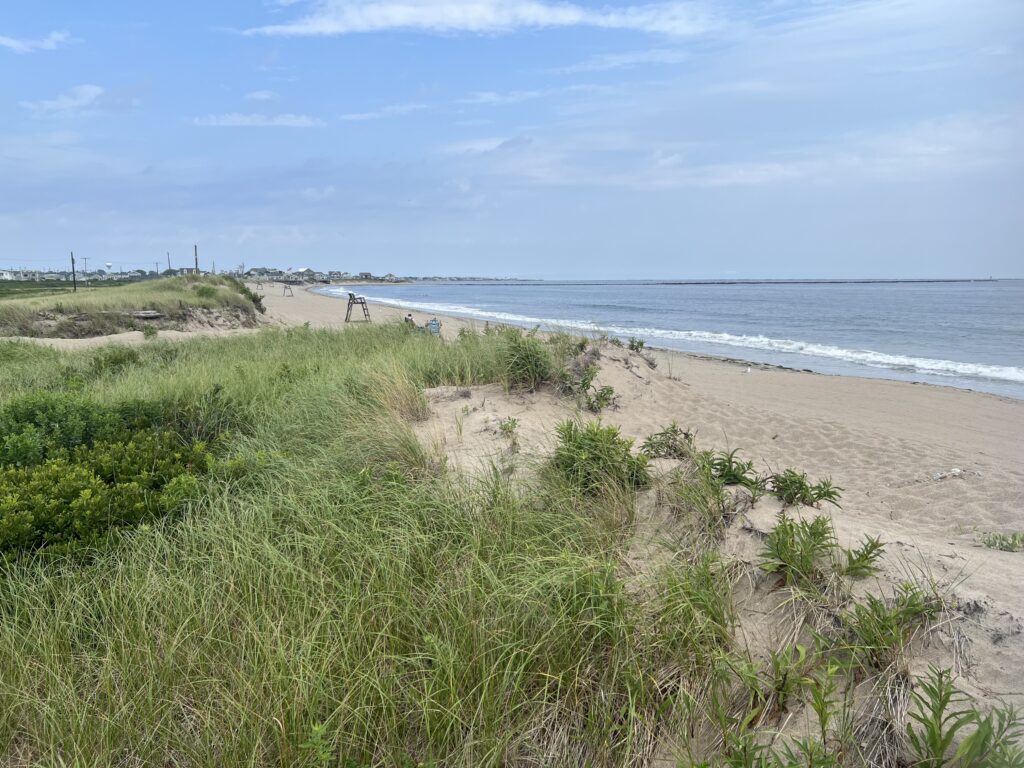 a beach with grass and sand (MyCoast AI)