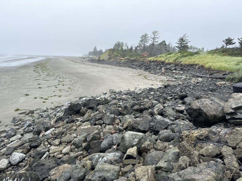 a rocky beach with grass and trees (MyCoast AI)
