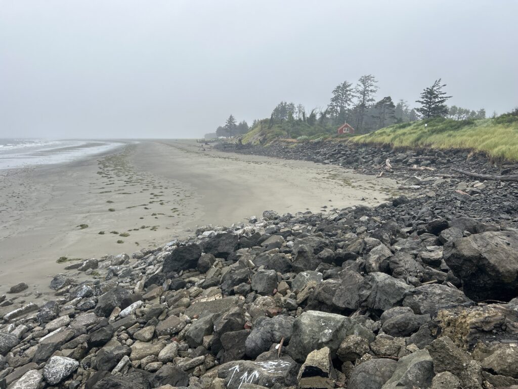 a rocky beach with trees in the background (MyCoast AI)
