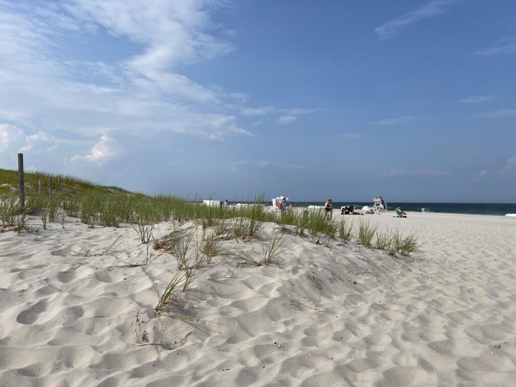 a sandy beach with people walking on it (MyCoast AI)