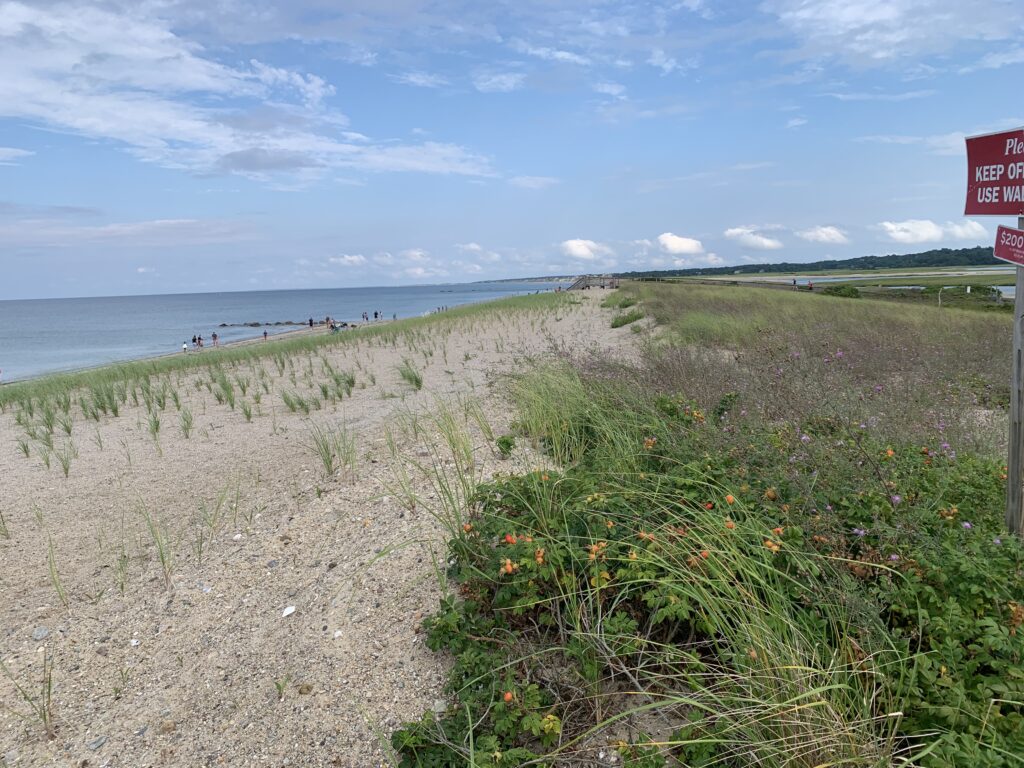 a beach with people walking on it (MyCoast AI)
