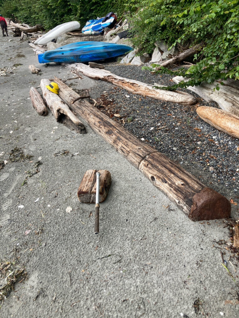 a group of sticks and a blue object on the ground (MyCoast AI)
