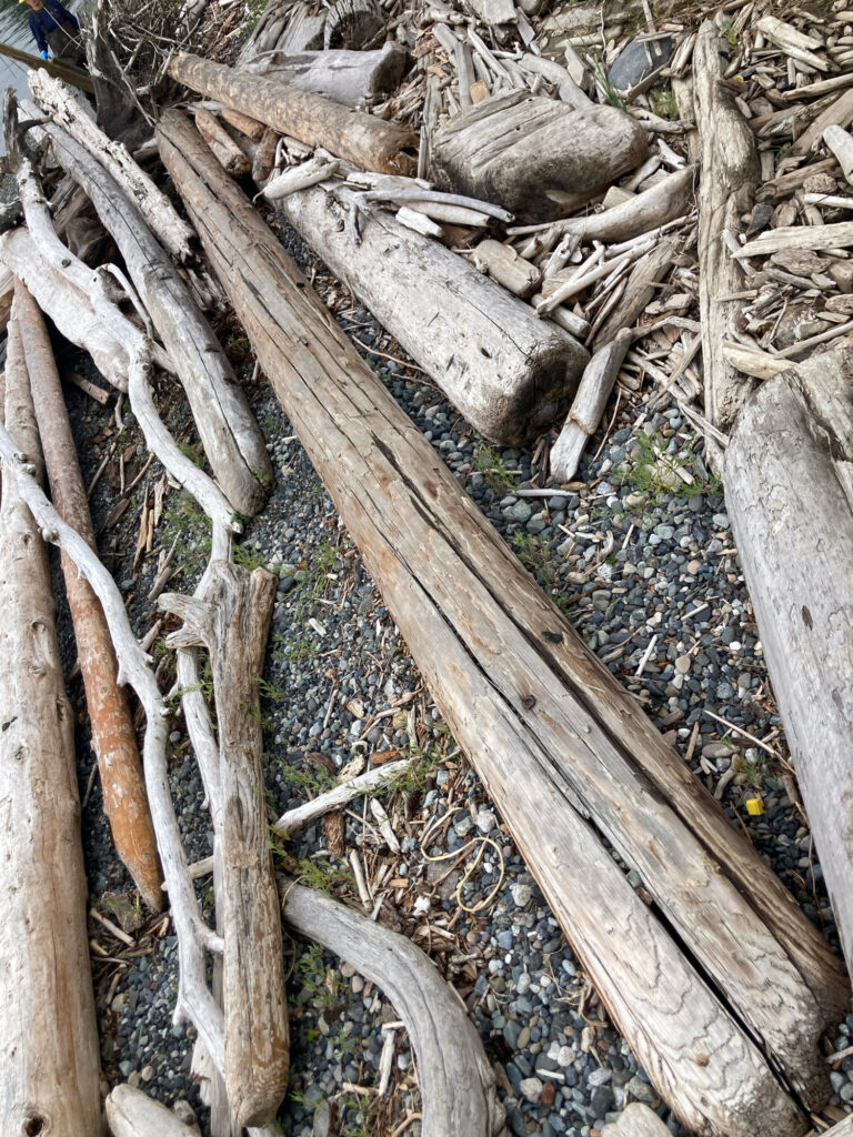 a pile of wood (MyCoast AI)