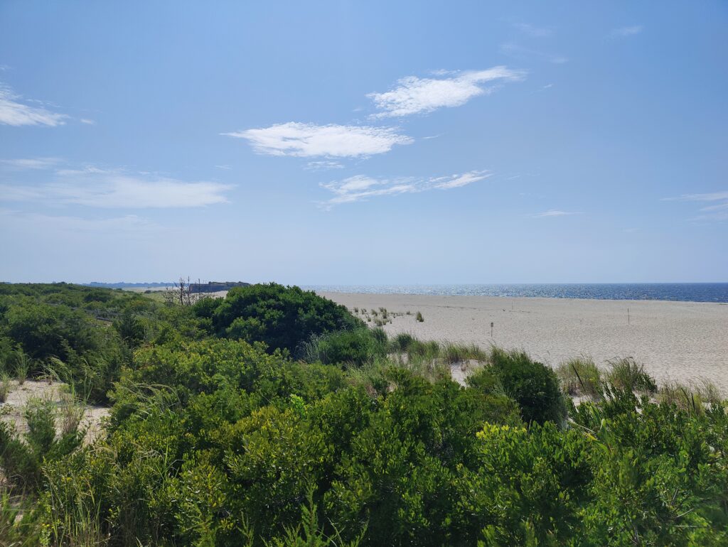 a landscape with trees and bushes (MyCoast AI)