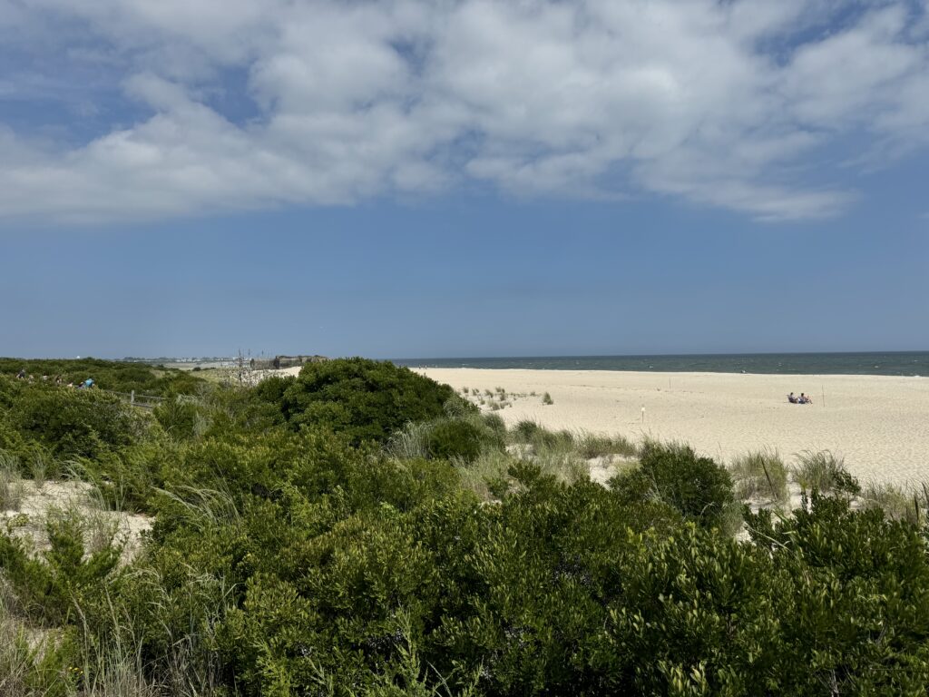 a sandy beach with bushes and trees (MyCoast AI)