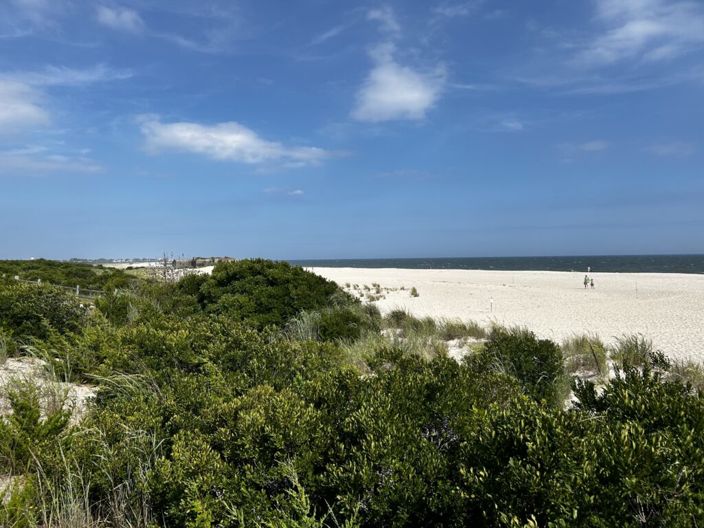 a beach with trees and bushes (MyCoast AI)