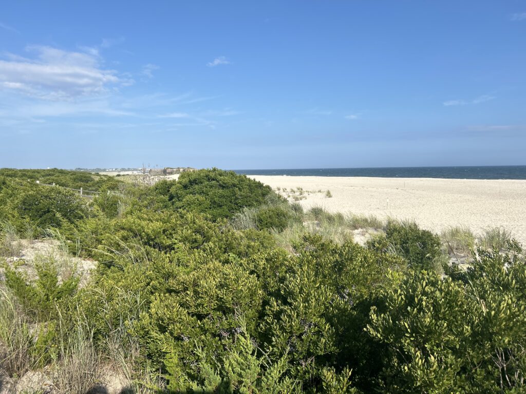 a landscape with trees and bushes (MyCoast AI)
