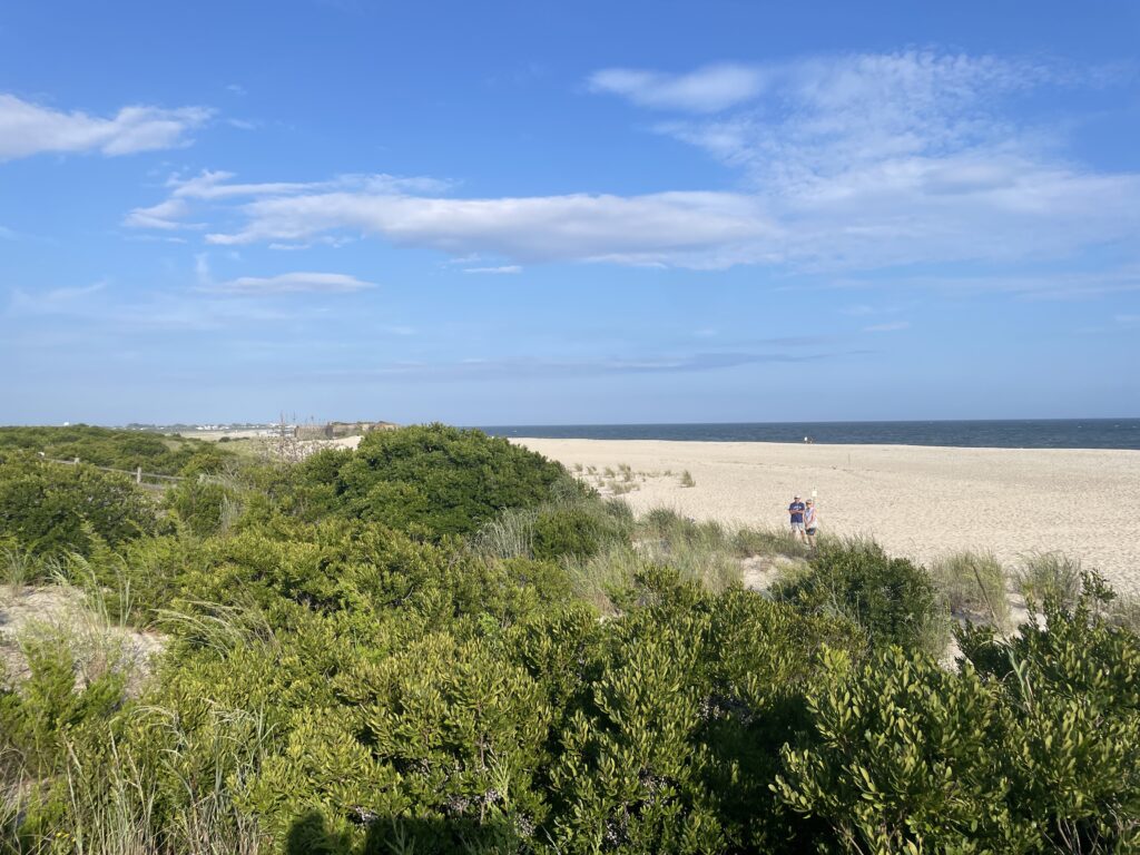 a person walking on a beach (MyCoast AI)
