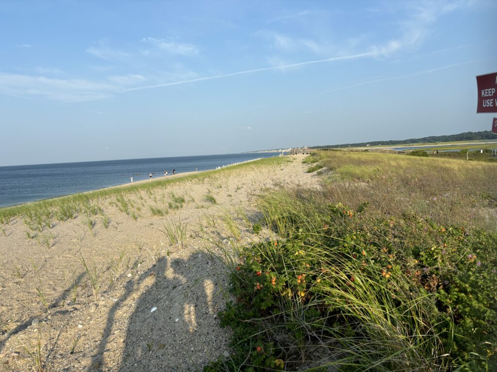 a dirt road next to a beach (MyCoast AI)