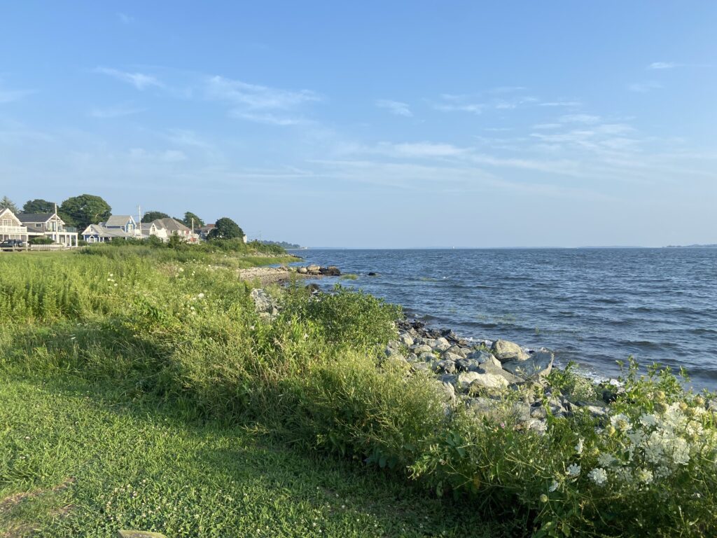 a grassy area next to a body of water (MyCoast AI)
