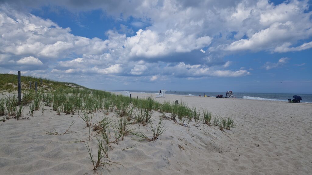 a sandy beach with plants and a body of water in the background (MyCoast AI)