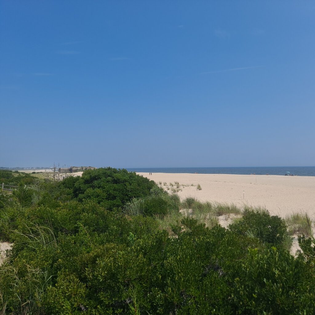 a sandy beach with trees (MyCoast AI)