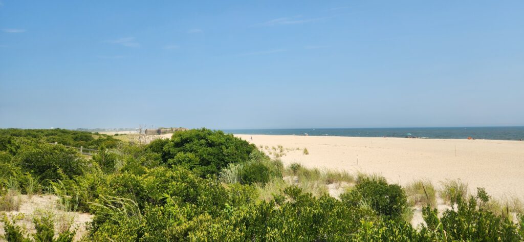a sandy beach with bushes and trees (MyCoast AI)