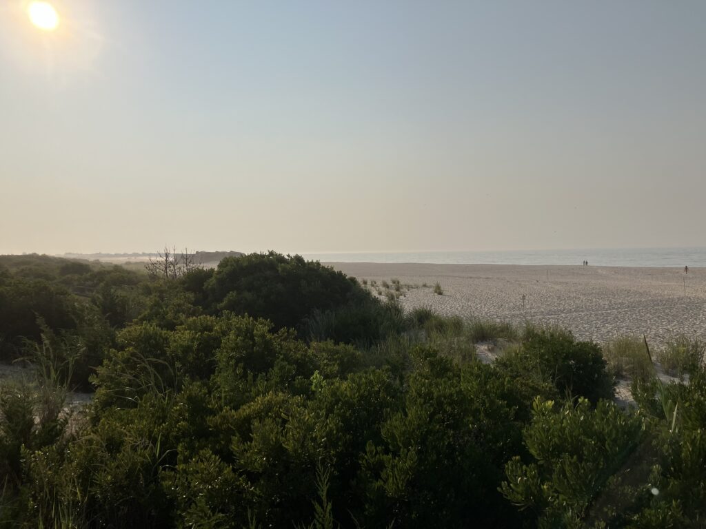 a beach with trees and water (MyCoast AI)