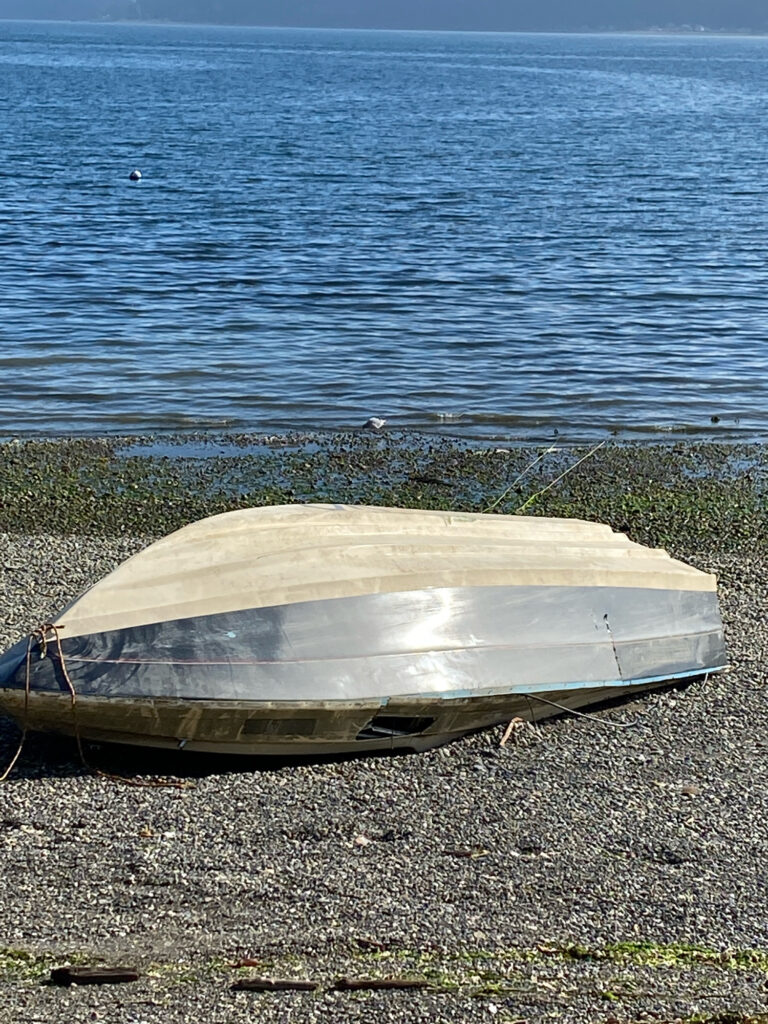 a boat on the shore (MyCoast AI)